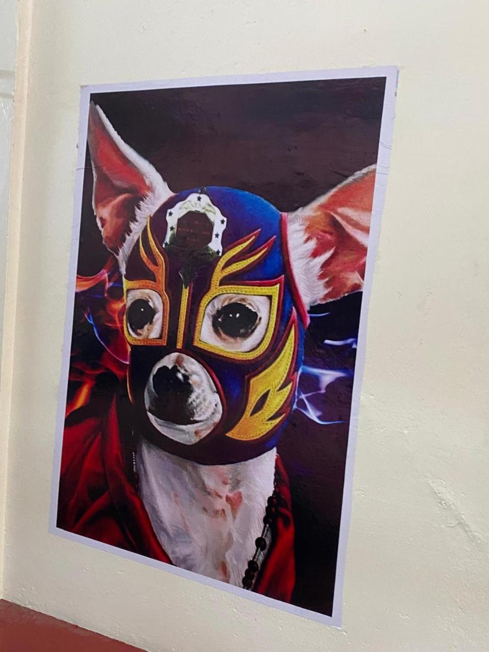 Mil Mascaras Hotel Oaxaca Buitenkant foto